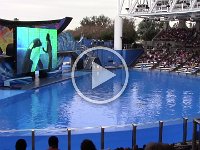 SeaWorld 12-26-14